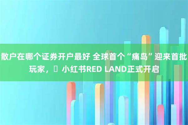 散户在哪个证券开户最好 全球首个“痛岛”迎来首批玩家，​小红书RED LAND正式开启