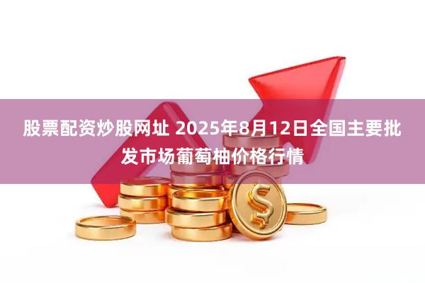 股票配资炒股网址 2025年8月12日全国主要批发市场葡萄柚价格行情
